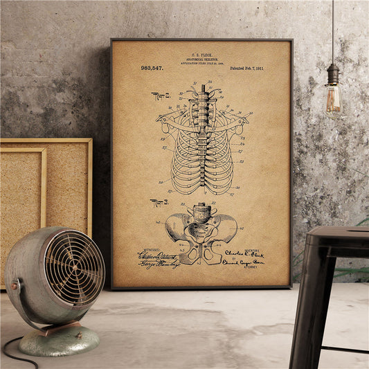 Anatomical Antiquity Skeleton Chart